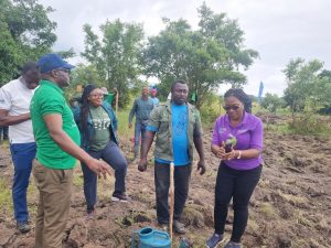 Ecobank plants 4,500 trees to mark World Environment Day 2025